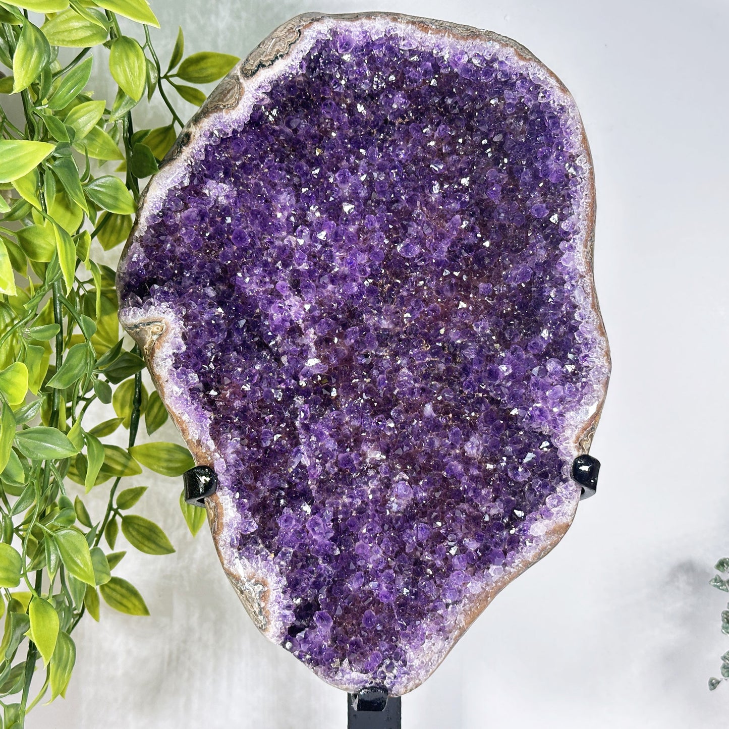 Amethyst Crystal Geode - Gem Avenue Retail