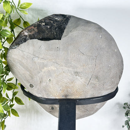 Amethyst Crystal Geode - Gem Avenue Retail