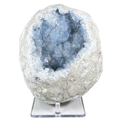 Celestite Geode Crystal - Gem Avenue Retail