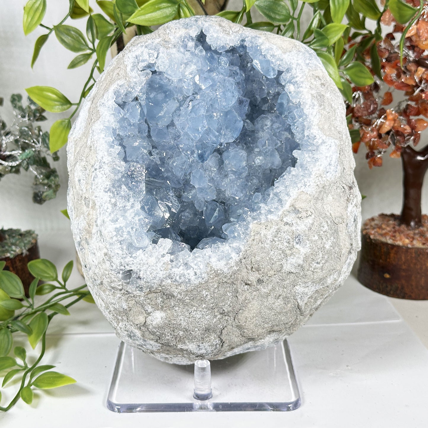 Celestite Geode Crystal - Gem Avenue Retail