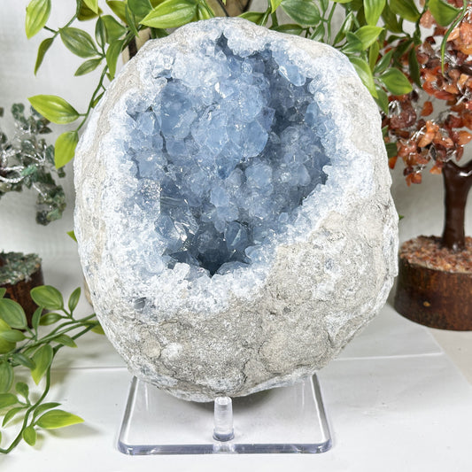 Celestite Geode Crystal - Gem Avenue Retail