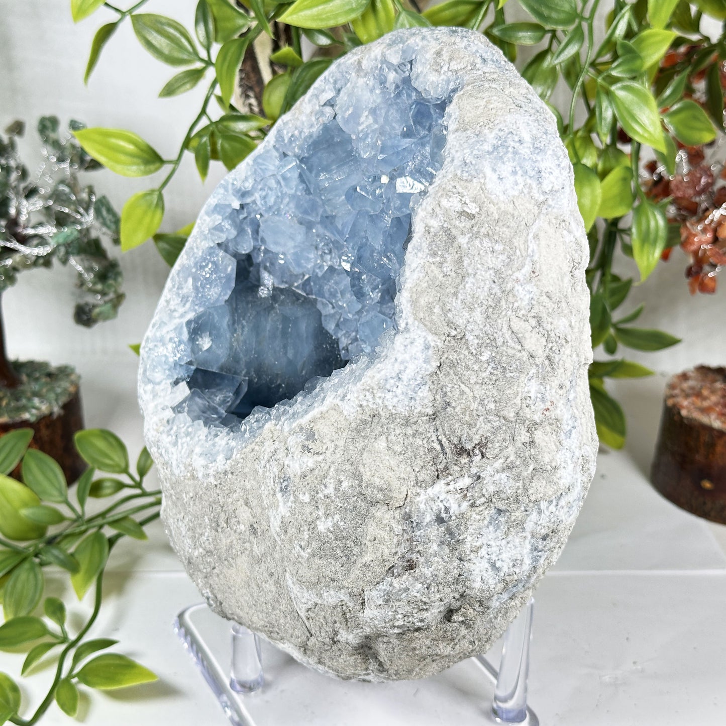 Celestite Geode Crystal - Gem Avenue Retail