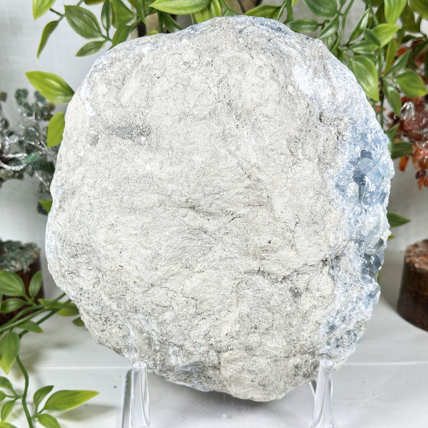 Celestite Geode Crystal - Gem Avenue Retail