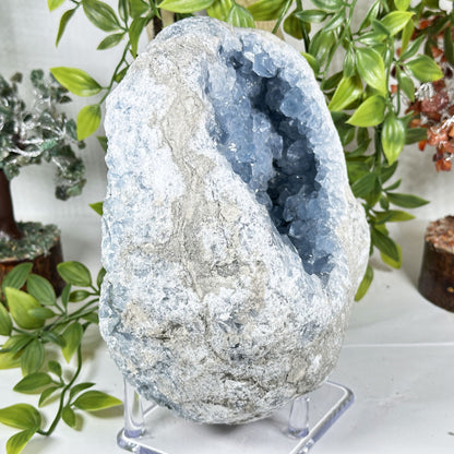 Celestite Geode Crystal - Gem Avenue Retail