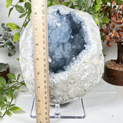 Celestite Geode Crystal - Gem Avenue Retail
