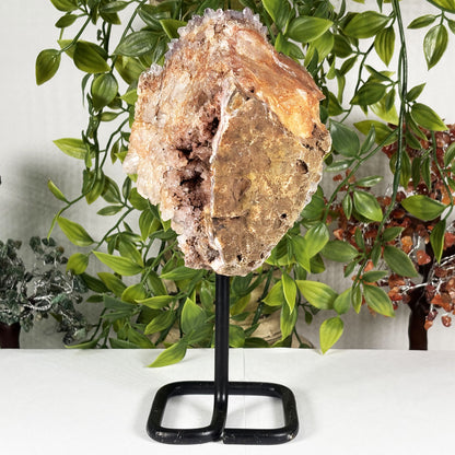 Natural Pink Amethyst Crystal Geode - Gem Avenue Retail