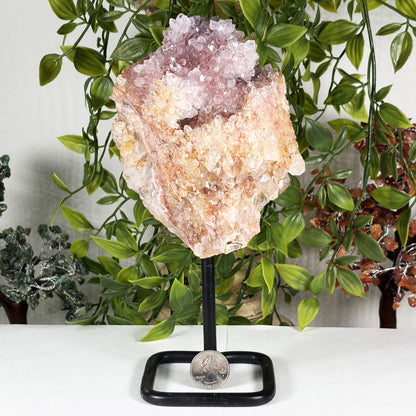 Natural Pink Amethyst Crystal Geode - Gem Avenue Retail