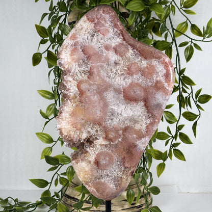 Natural Pink Amethyst Crystal Geode - Gem Avenue Retail