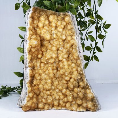 Natural Citrine Crystal Geode - Gem Avenue Retail