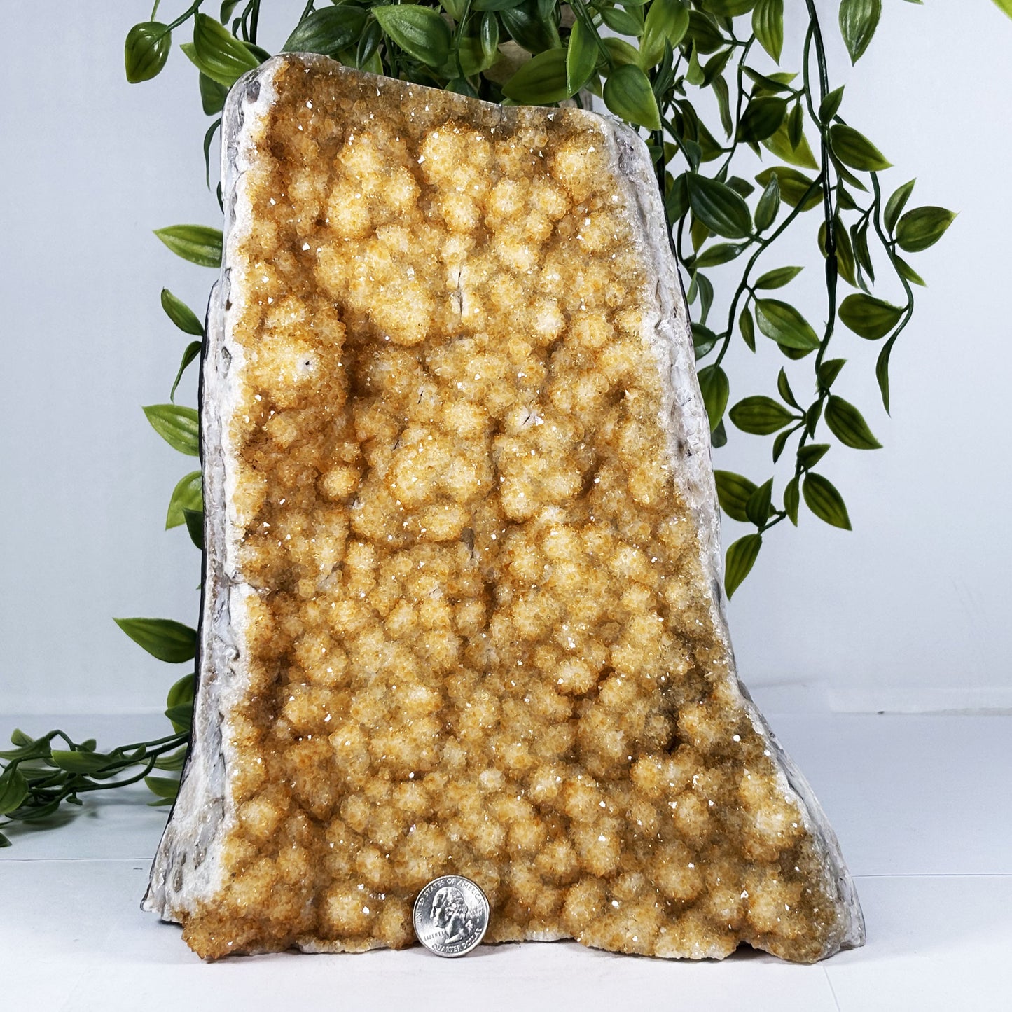 Natural Citrine Crystal Geode - Gem Avenue Retail
