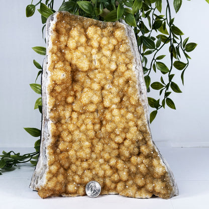 Natural Citrine Crystal Geode - Gem Avenue Retail