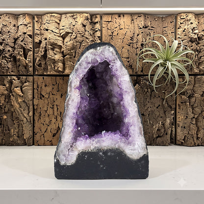 Natural 8.25" Brazilian Amethyst Geode Cathedral Purple Crystal Cluster Display Piece