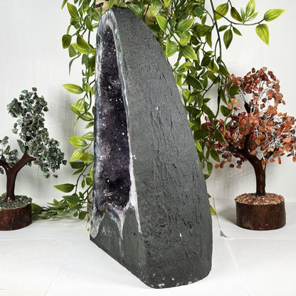 Amethyst Crystal Gemstone Geode -Gem Avenue