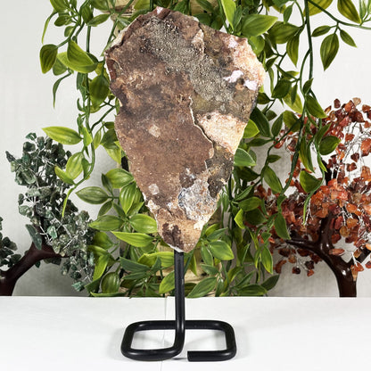 Natural Citrine Crystal Geode - Gem Avenue Retail