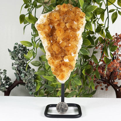 Natural Citrine Crystal Geode - Gem Avenue Retail