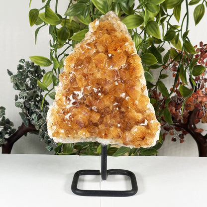 Citrine Crystal Gemstone Geode - Gem Avenue Retail