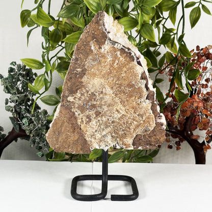 Citrine Crystal Gemstone Geode - Gem Avenue Retail