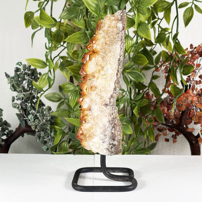 Citrine Crystal Gemstone Geode - Gem Avenue Retail