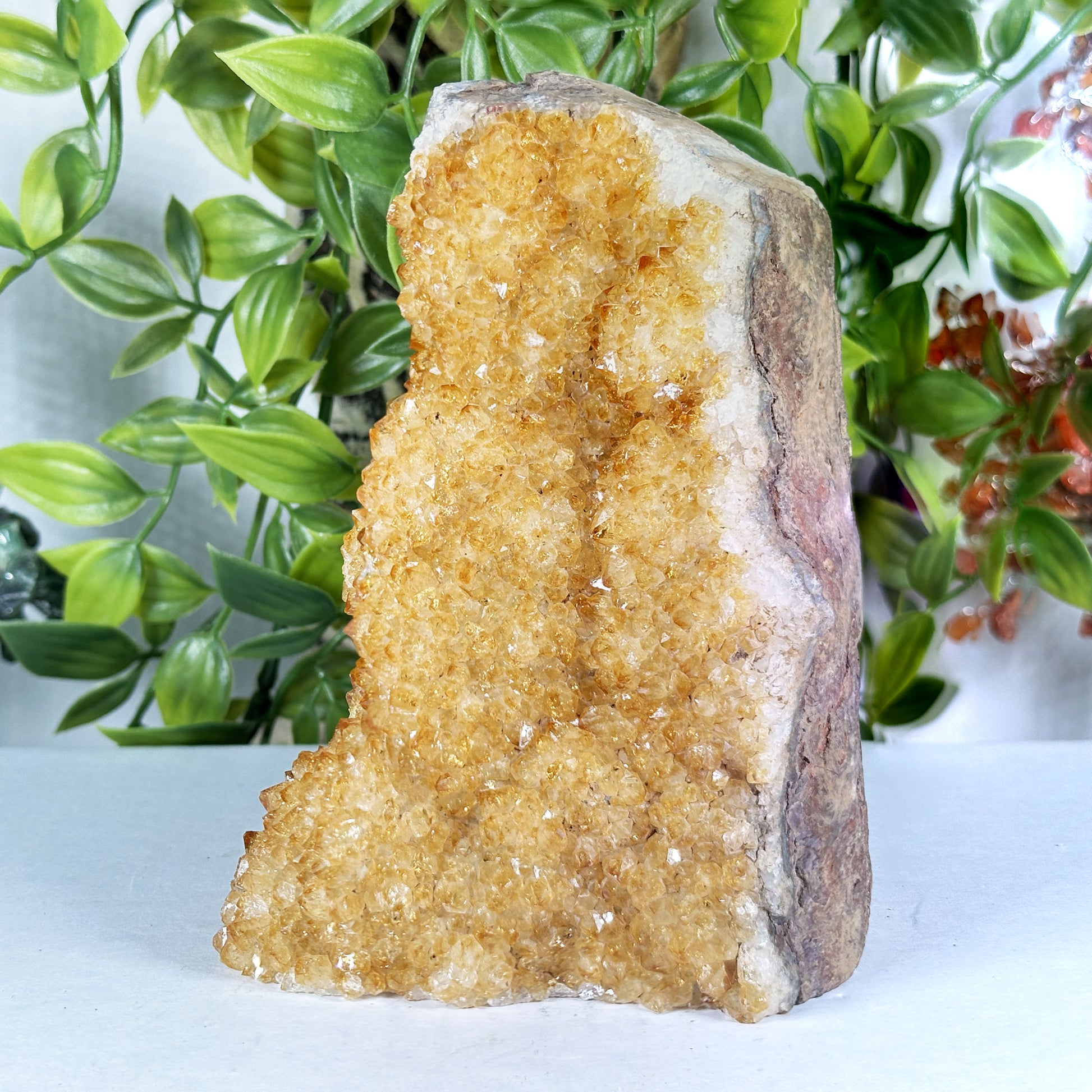 Citrine Crystal Geode - Gem Avenue Retail