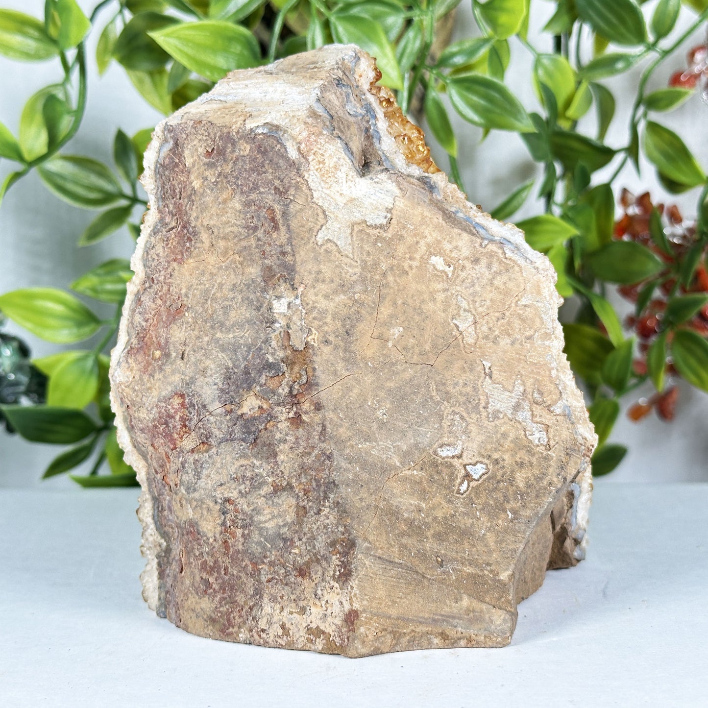 Citrine Crystal Geode - Gem Avenue Retail