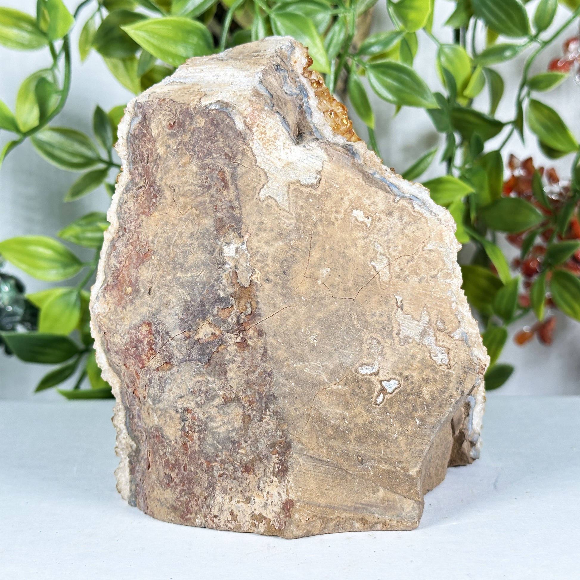 Citrine Crystal Geode - Gem Avenue Retail