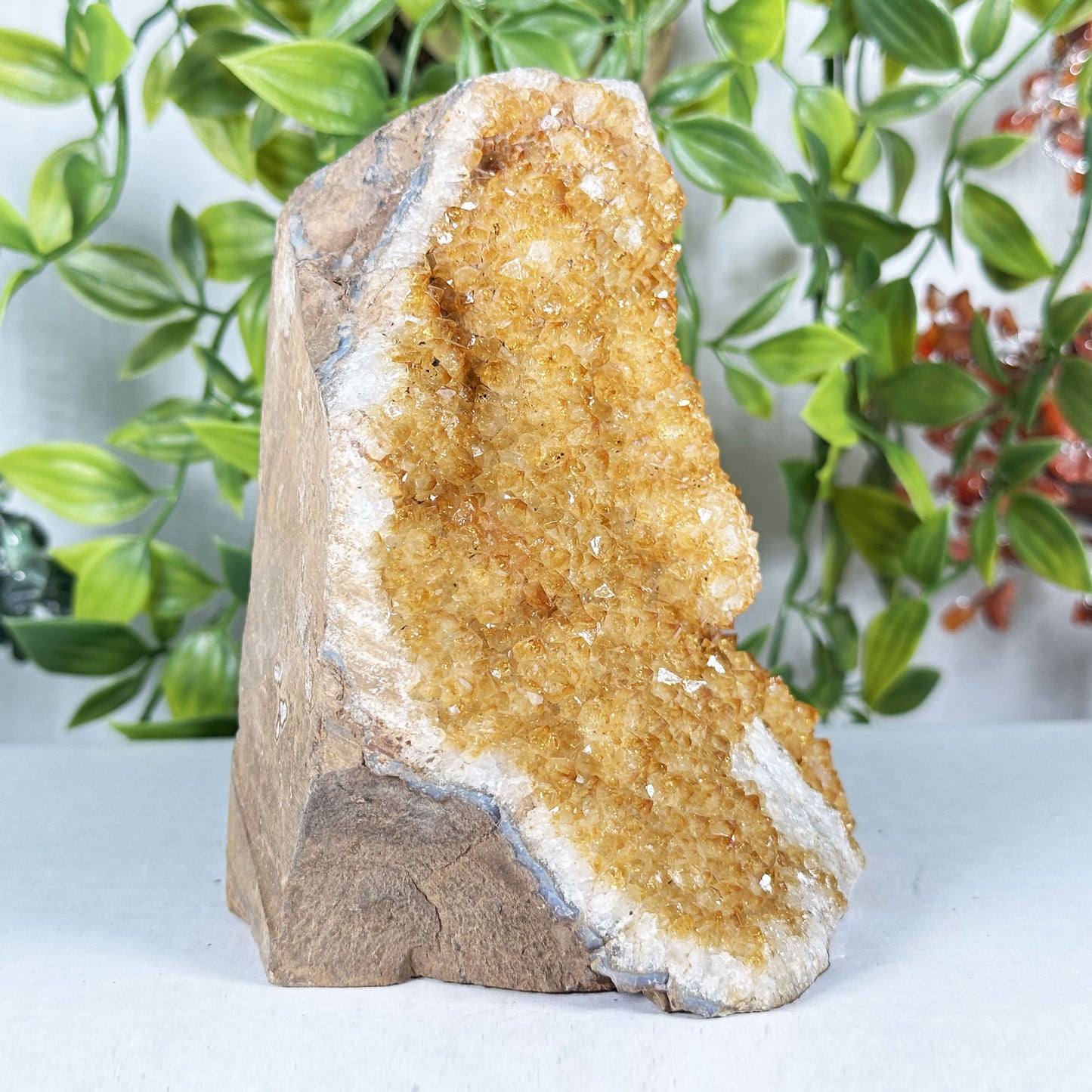 Citrine Crystal Geode - Gem Avenue Retail