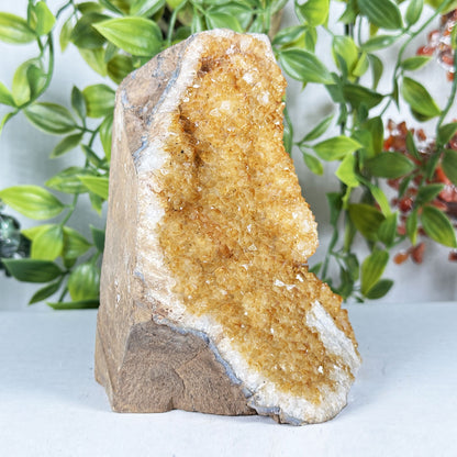 Citrine Crystal Geode - Gem Avenue Retail