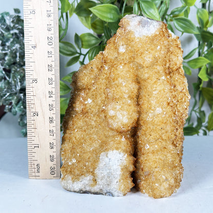 Citrine Crystal Geode - Gem Avenue Retail
