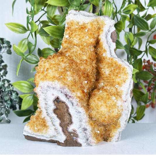 Citrine Crystal Geode - Gem Avenue Retail