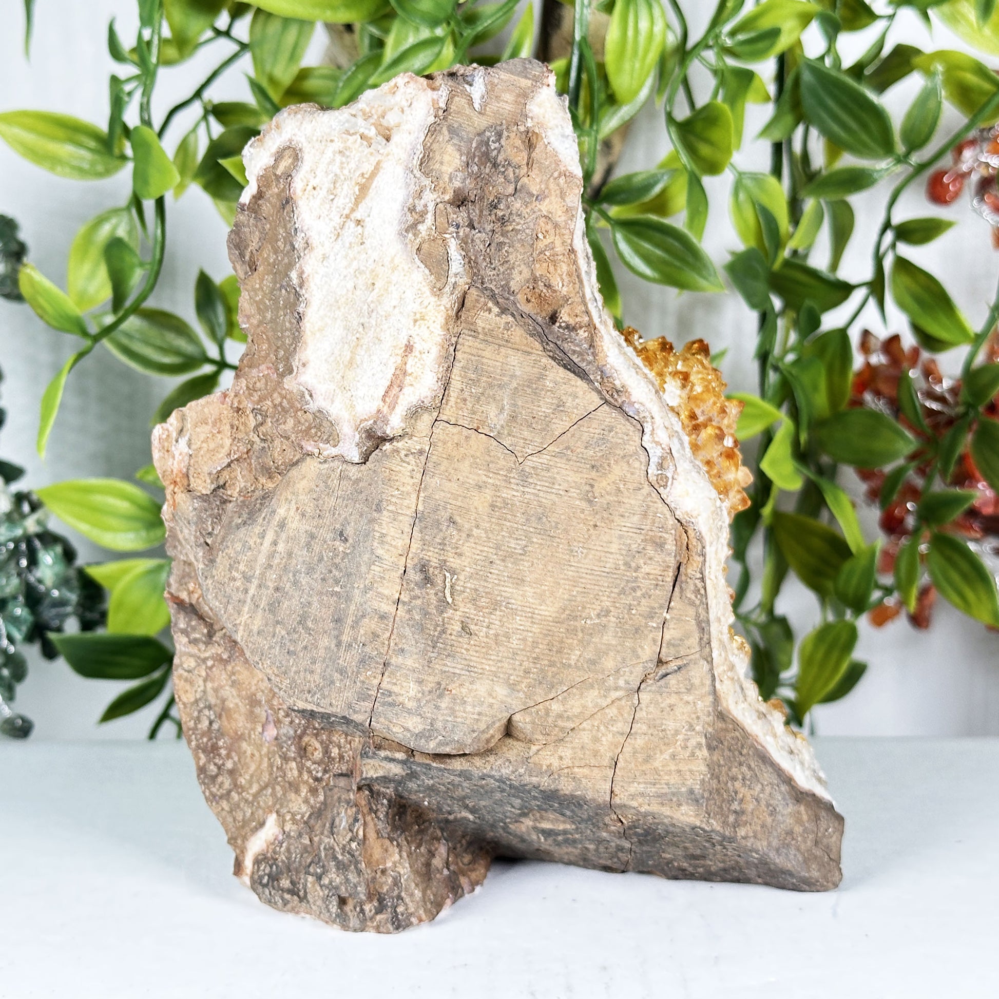 Citrine Crystal Geode - Gem Avenue Retail