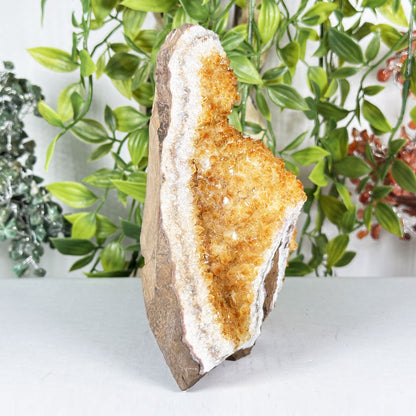 Citrine Crystal Geode - Gem Avenue Retail