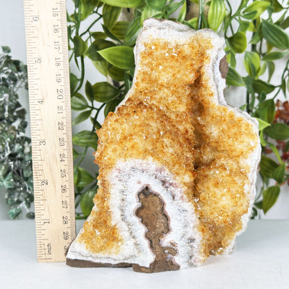 Citrine Crystal Geode - Gem Avenue Retail