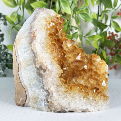 Citrine Crystal Geode- Gem Avenue Retail