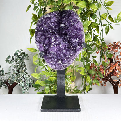 Amethyst Crystal Geode - Gem Avenue Retail