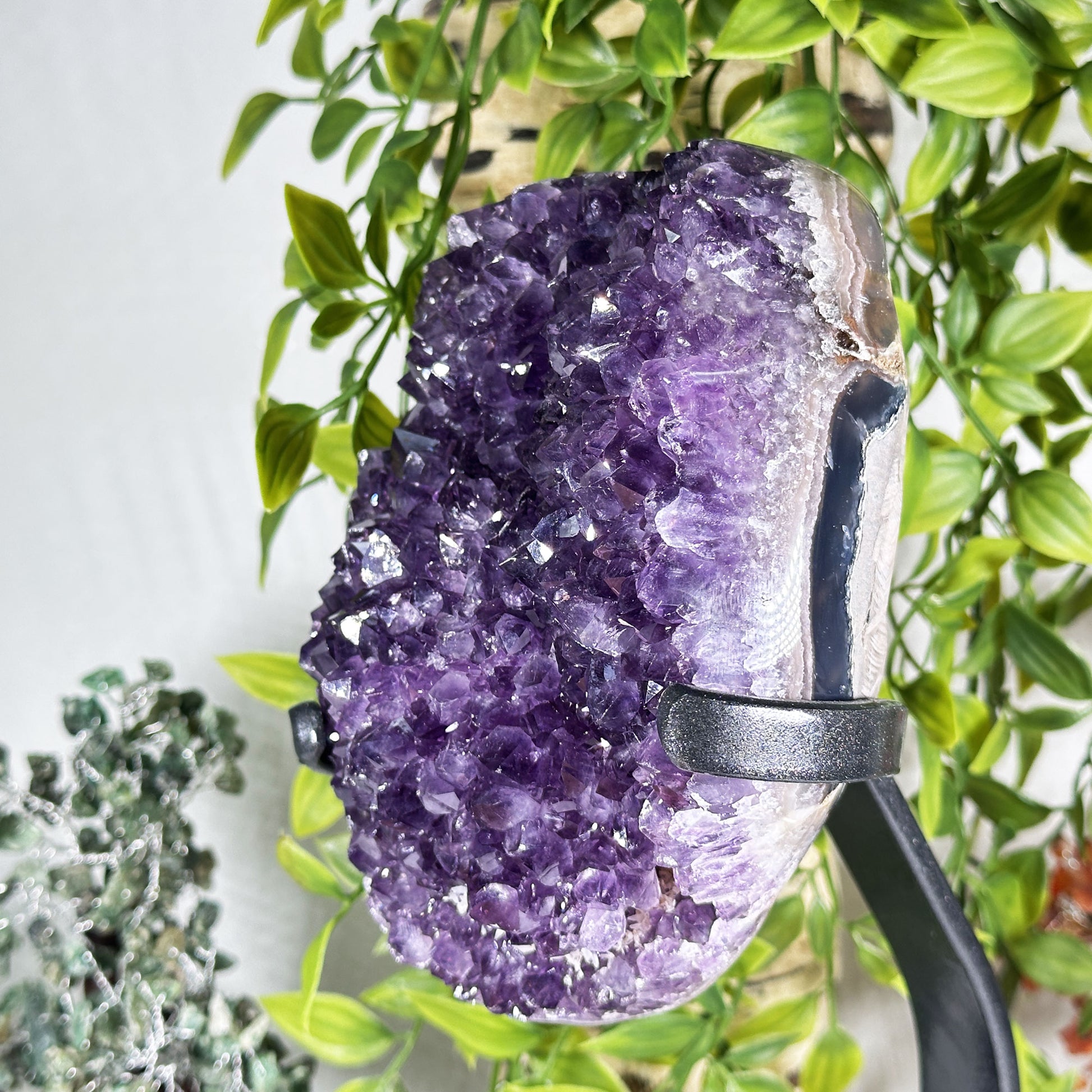 Amethyst Crystal Geode - Gem Avenue Retail