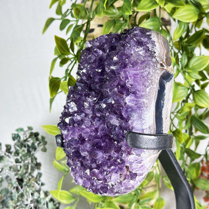 Amethyst Crystal Geode - Gem Avenue Retail