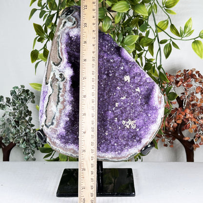 Amethyst Crystal Geode - Gem Avenue Retail
