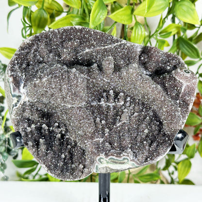 Black Amethyst Crystal Geode - Gem Avenue Retail