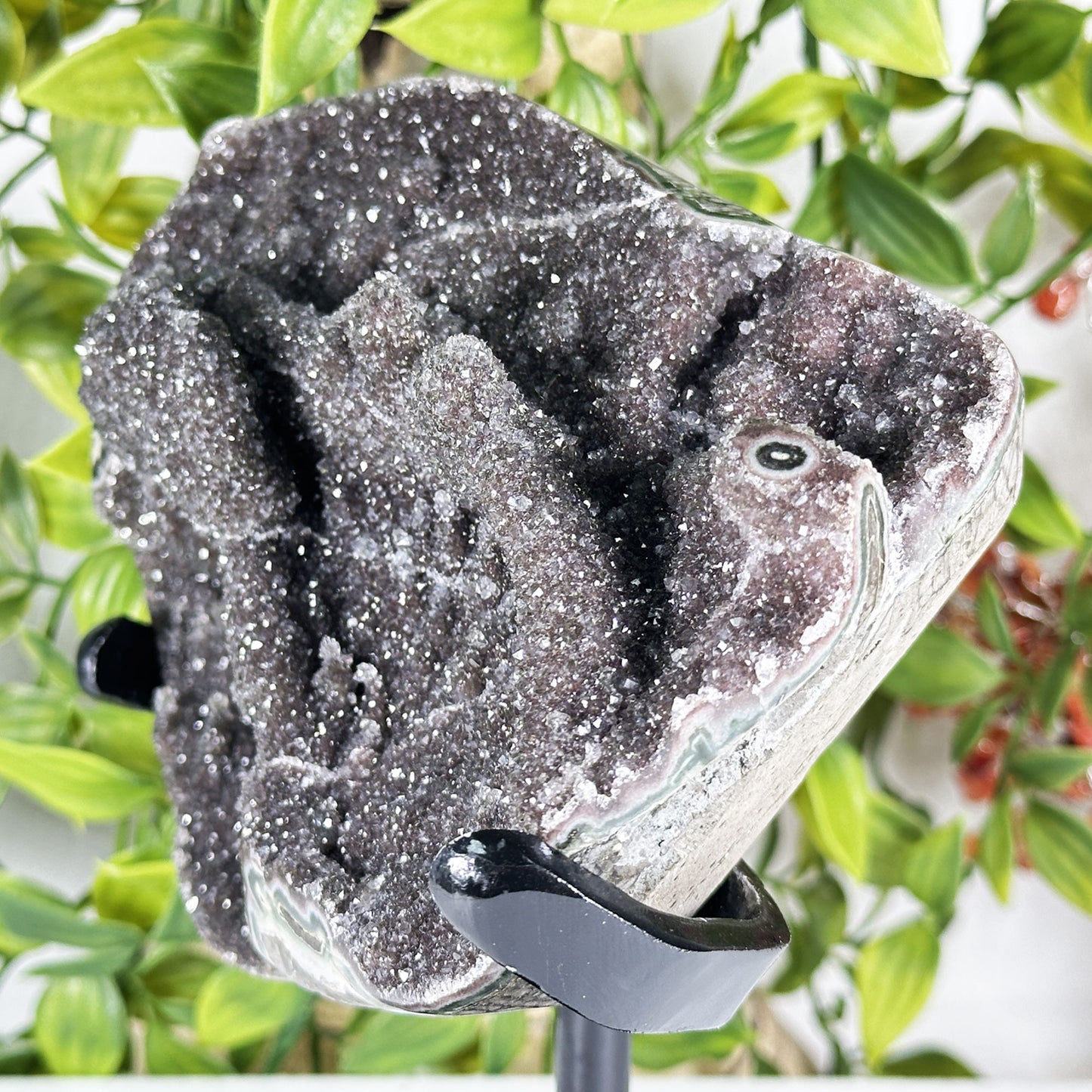 Black Amethyst Crystal Geode - Gem Avenue Retail