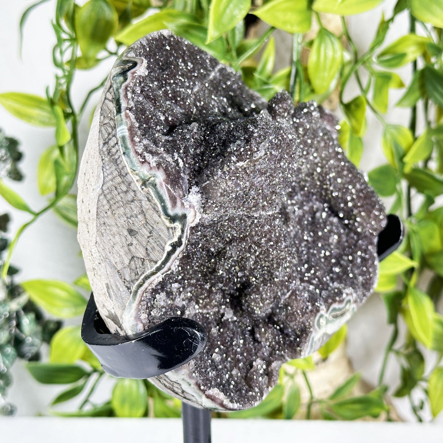 Black Amethyst Crystal Geode - Gem Avenue Retail