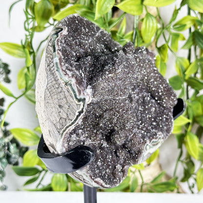 Black Amethyst Crystal Geode - Gem Avenue Retail