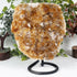 Natural Citrine Crystal Geode 9 Inch Brazilian Crystal Cluster for Home Decor & Display
