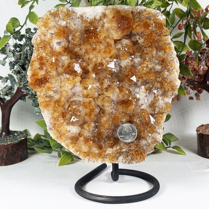 Citrine Crystal Geode - Gem Avenue Retail