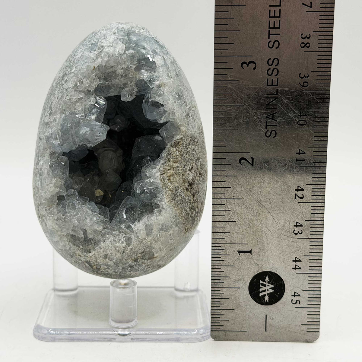Celestite Geode Egg Crystal Cluster 2.75" Natural Blue Crystal