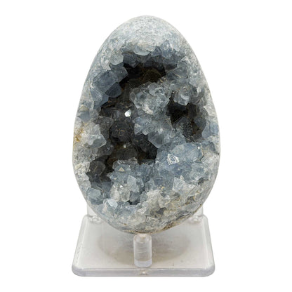 Celestite Geode Crystal Cluster 3.5" Natural Blue Crystal Specimen - Gem Avenue Retail