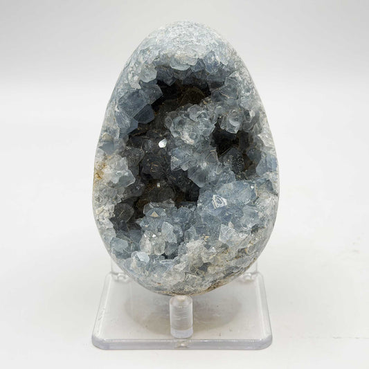 Celestite Geode Crystal Cluster 3.5" Natural Blue Crystal Specimen - Gem Avenue Retail