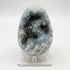 Celestite Geode Crystal Cluster Specimen 3.5" Natural Blue Crystal Display Stone