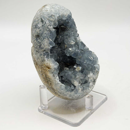 Celestite Geode Crystal Cluster Specimen 3.5" Natural Blue Crystal Display Stone