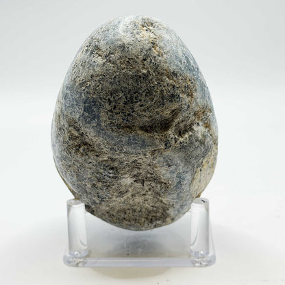 Celestite Geode Crystal Cluster 3.5" Natural Blue Crystal Specimen - Gem Avenue Retail