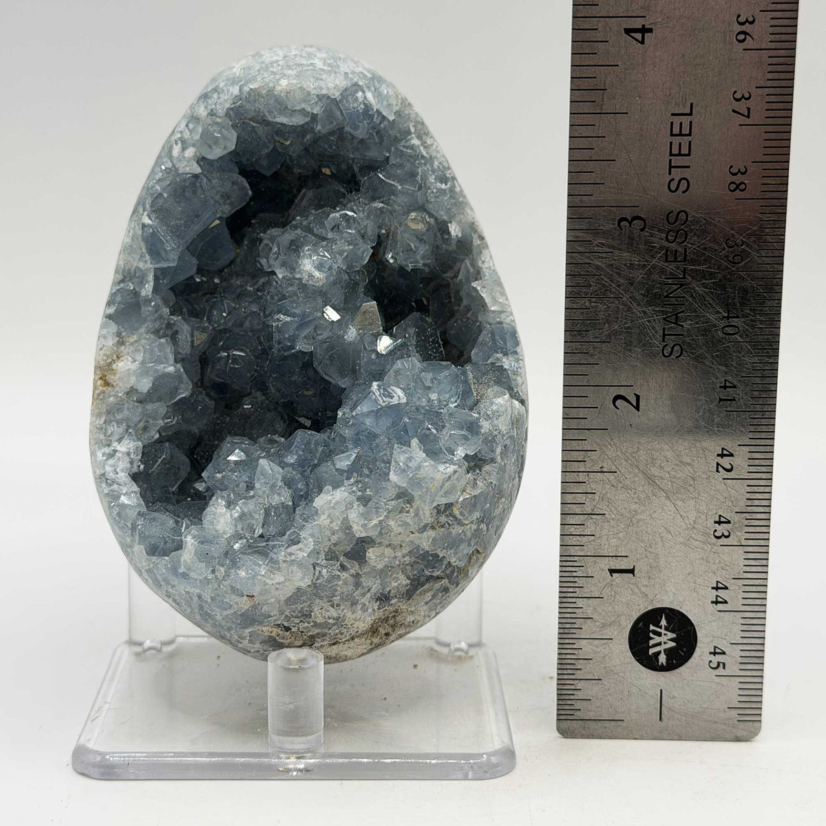 Celestite Geode Crystal Cluster 3.5" Natural Blue Crystal Specimen - Gem Avenue Retail